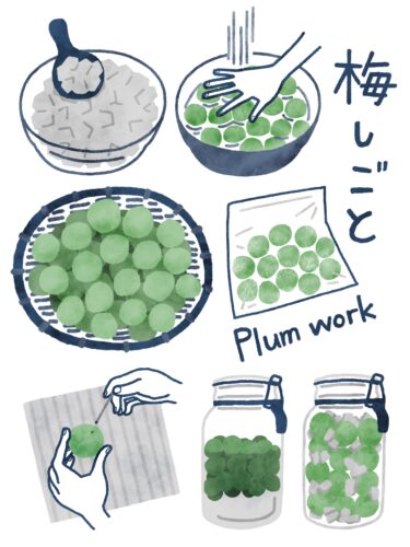 日本の梅しごとに関するイラスト
